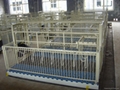 Pig equipment- Powder coating Farrowing crate for pig 2