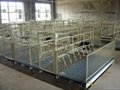 Pig equipment- Powder coating Farrowing crate for pig 4