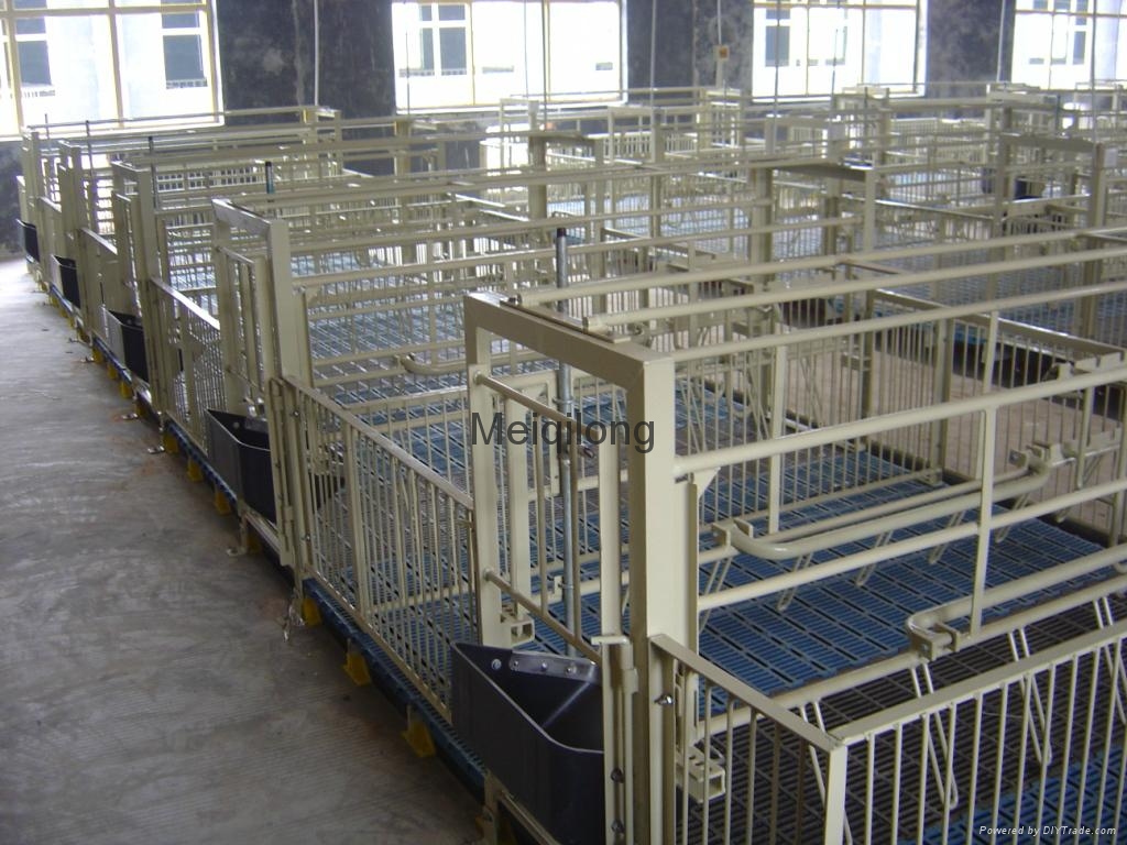 Pig equipment- Powder coating Farrowing crate for pig 5