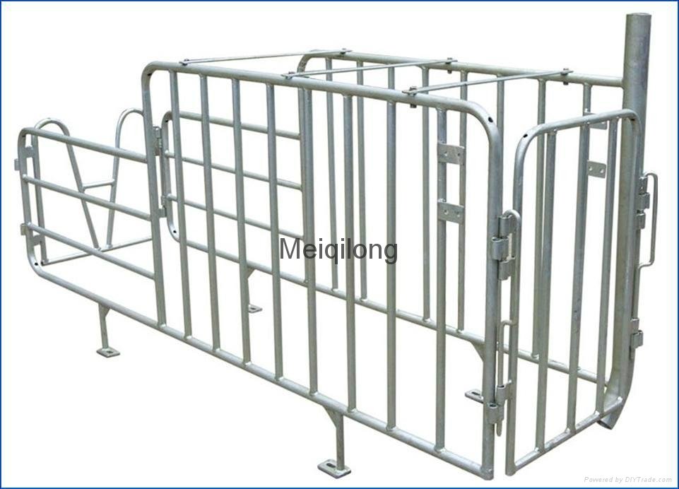 Pig Gestation stall with feed drop tube