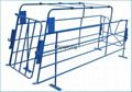 US style Pig Gestation stall(round steel,Powder coating)