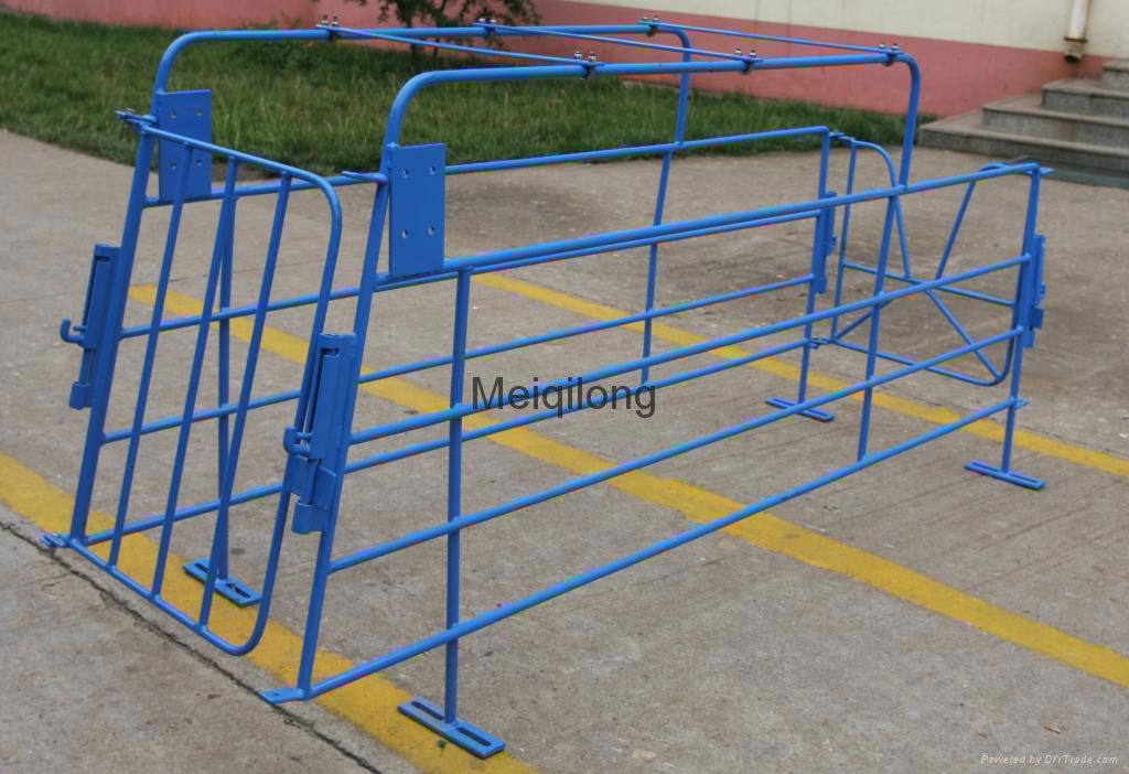 US style Pig Gestation stall(round steel,Powder coating) 3