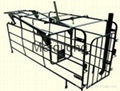 Pig automatic Gestation stall