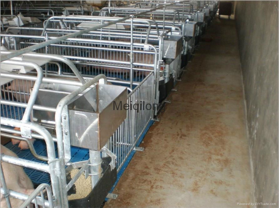 Pig Farrowing crate with metal fence 2