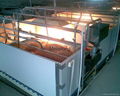 Pig Farrowing crate with metal fence 4