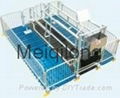 Pig Farrowing crate with metal fence