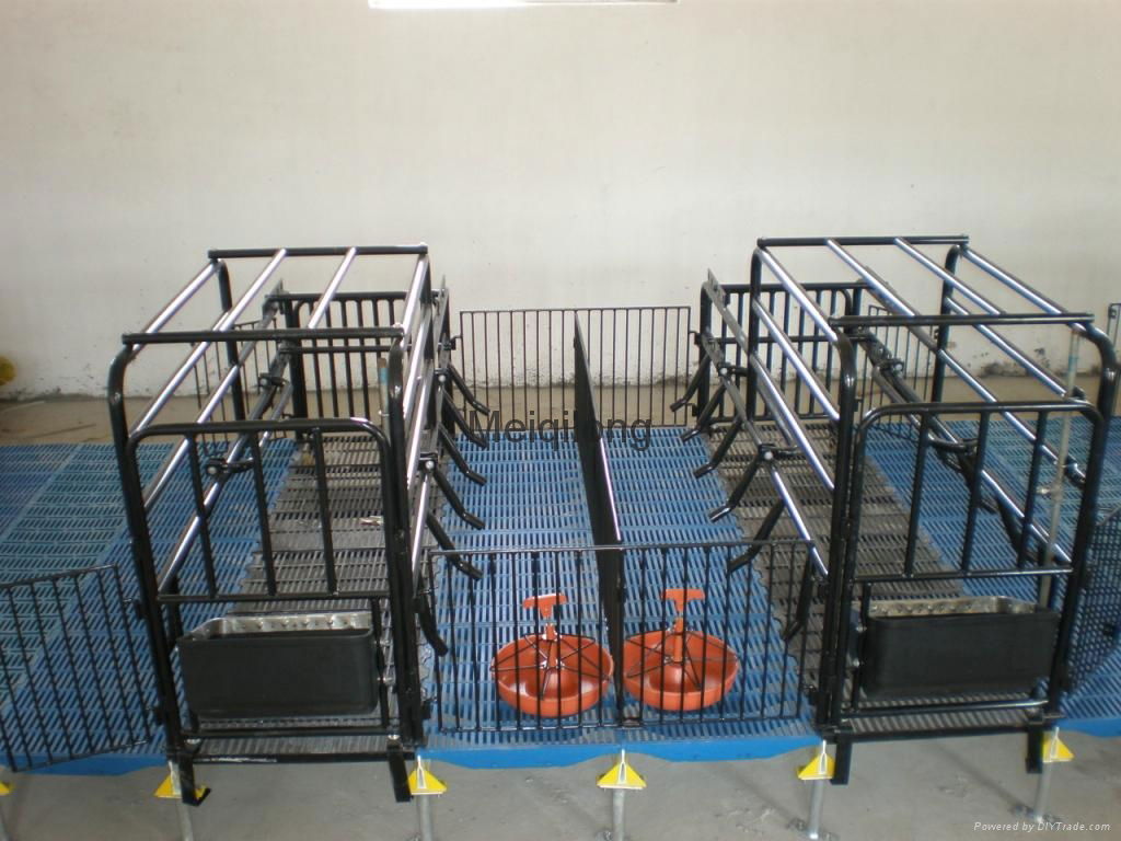 Pig feeding equipment 4