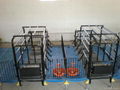 Pig feeding equipment 4