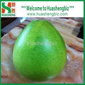 Pomelo fruit 1