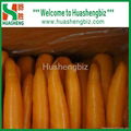 Fresh carrots 2