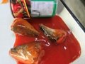 Canned Sardines in Tomato Sauce 425g 1