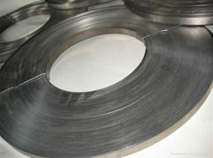 titanium strip 