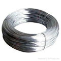 titanium wire 