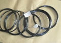 tungsten wires  1