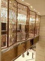 Hotel project Stainless steel room divider Modern design decoration screen  1