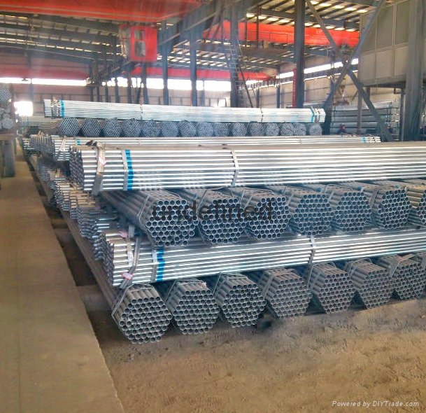 made in China market galvanized steel pipe gi pipe for greenhouse frame