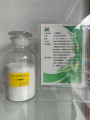 Ferric Phosphate Dihydrate  