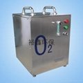 SPA小型工业制氧机 2