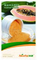 Natural Instant Papaya powder 1