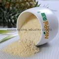 Natural Pineapple Juice Powder/ Pineapple Powder Fruit Juice