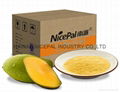 Natural Instant mango juice powder/mango powder fruit juice 2