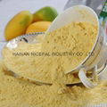 Natural Instant mango juice powder/mango powder fruit juice 1