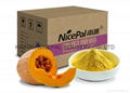 Natural Instant Pumpkin Juice Powder 1