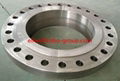 forged flange  2