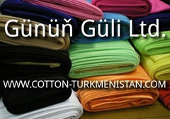 Gunun Guli Ltd.