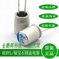低阻抗綠寶石固態電容6.3v2