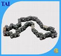 Automotive Oil Pump Chain and Timing Chain (C25, 219H) 1