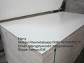 commercial  plywood 2