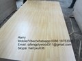 commercial  plywood 3