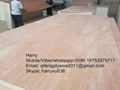 facny plywood for packing