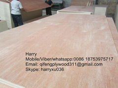 facny plywood for packing