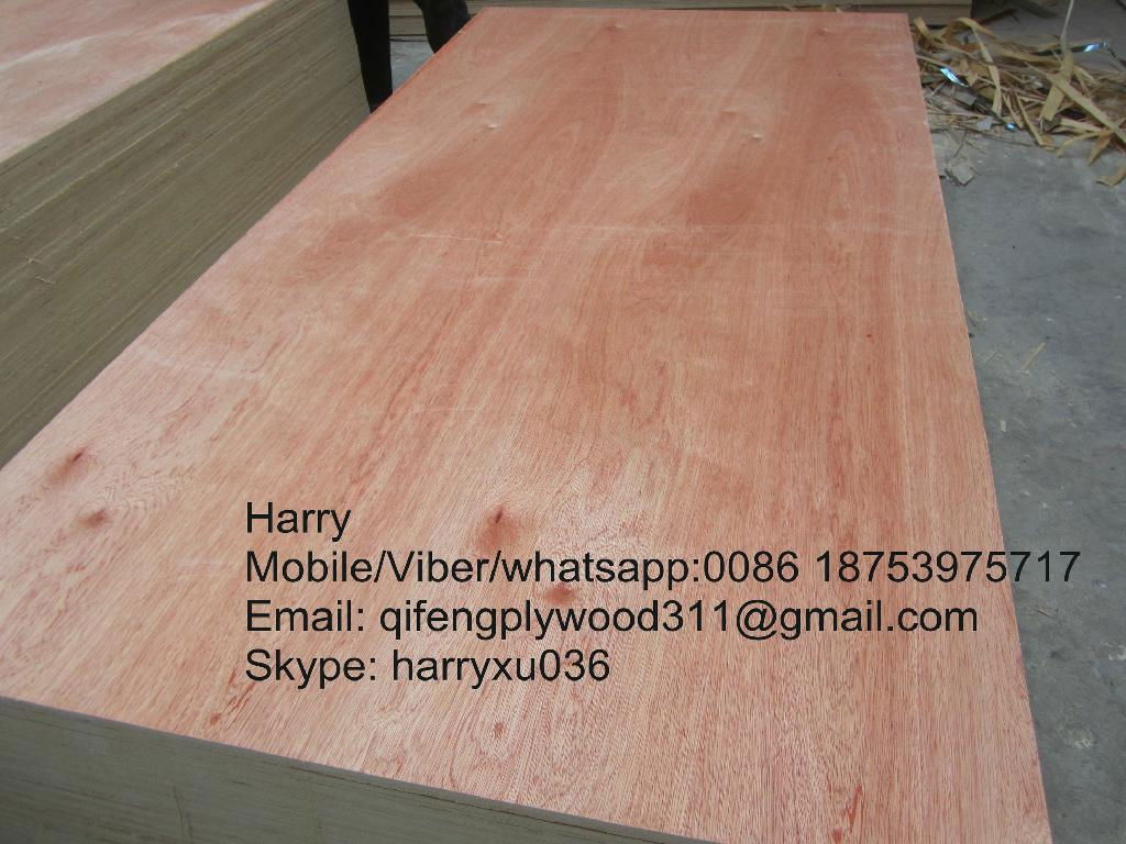 facny plywood for packing 3