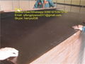 black and brown film faced plywood for construction 2