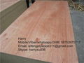 bintangor plywood for packing and furnitre 2