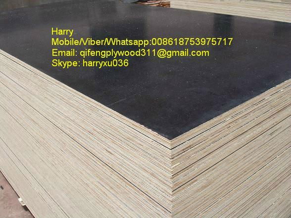 film faced plywood  construction plywood  2