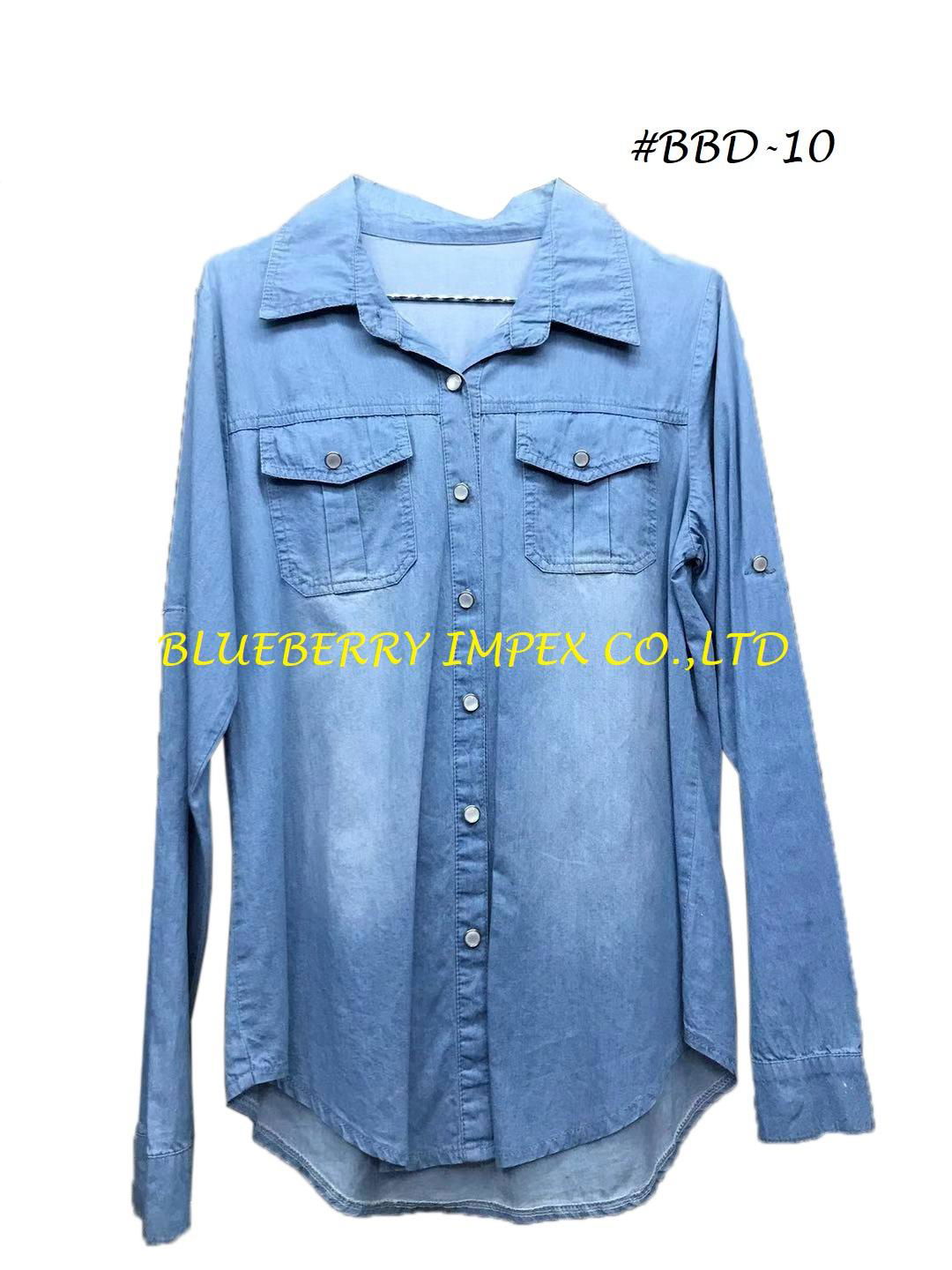 Denim Blouses  3