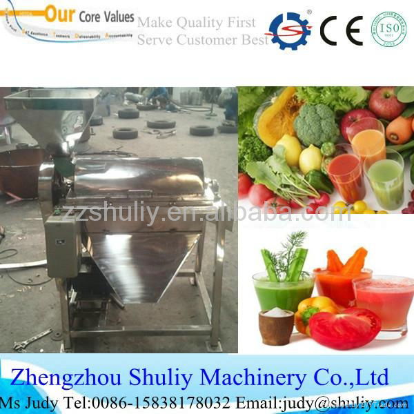 Stainless steel fruit pulping machine