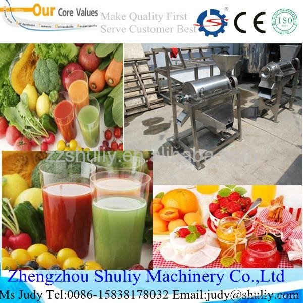 Stainless steel fruit pulping machine 2