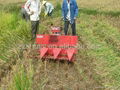 Wheat and Rice Combine Harvester