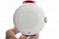 Bluetooth speaker 2