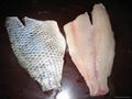 Frozen Tilapia Skin-on Fillet 1