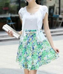 2014 new women's chiffon dress Floral