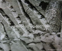 water transfer film