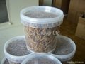 dried mealworm