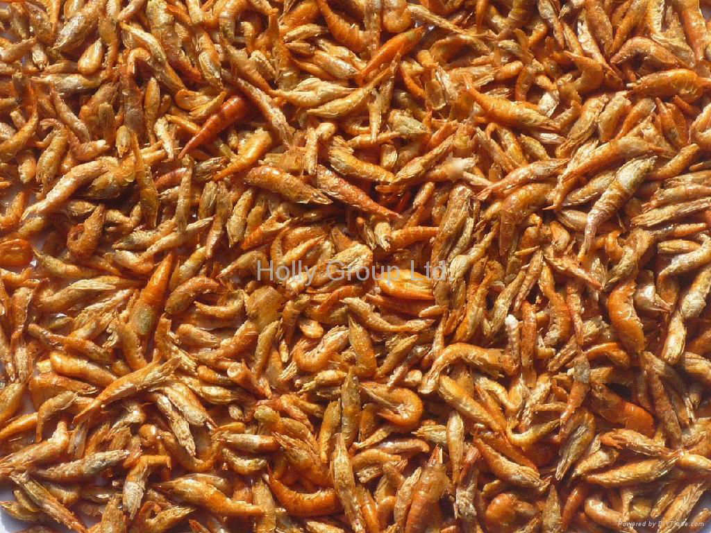 FD river shrimp ATZ (China Manufacturer) Aquatic Products