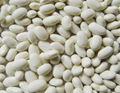 Small white kidney beans